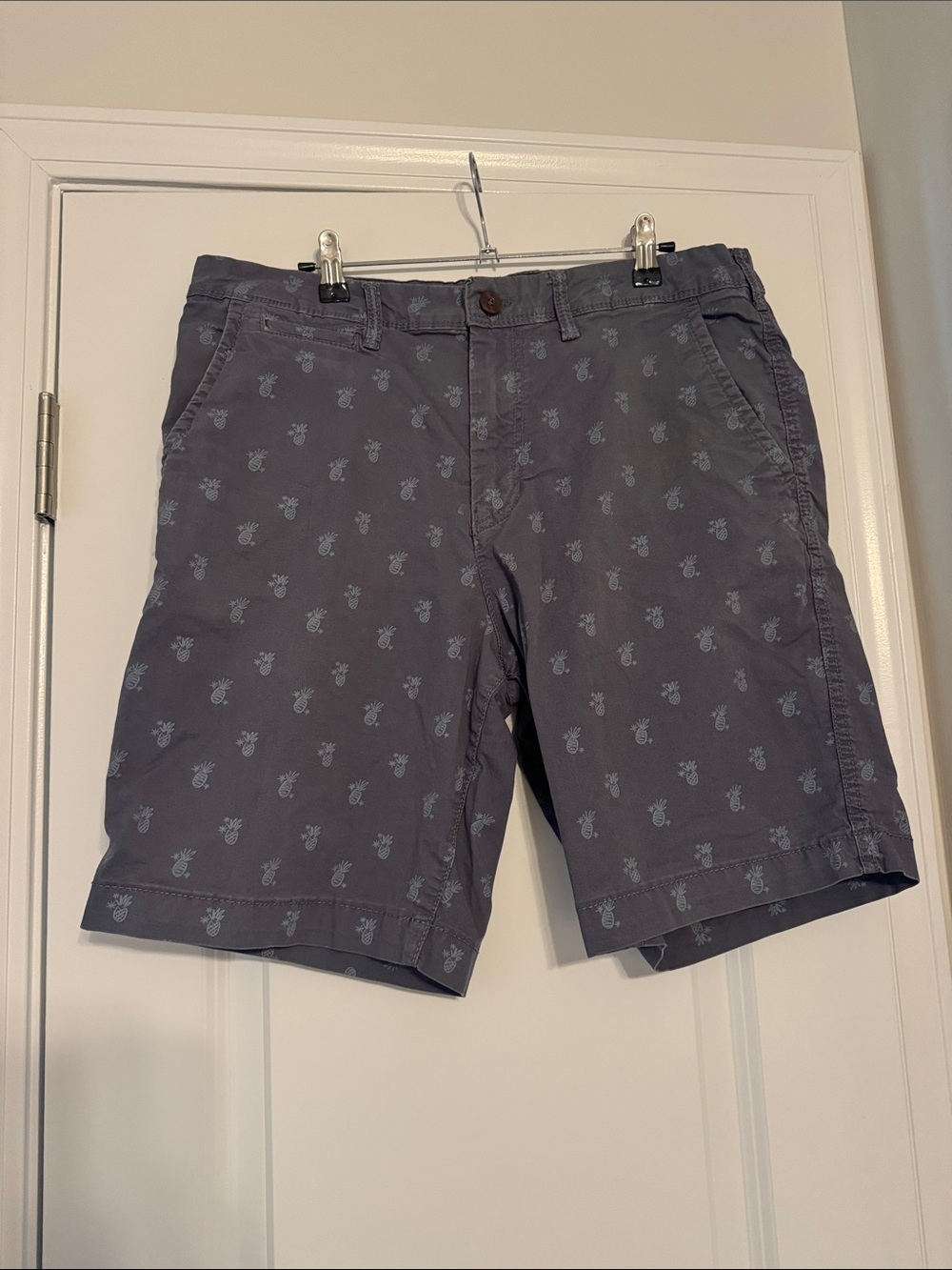 American Eagle Outfitters Men's Slate Pineapple-Print Flat Front Shorts